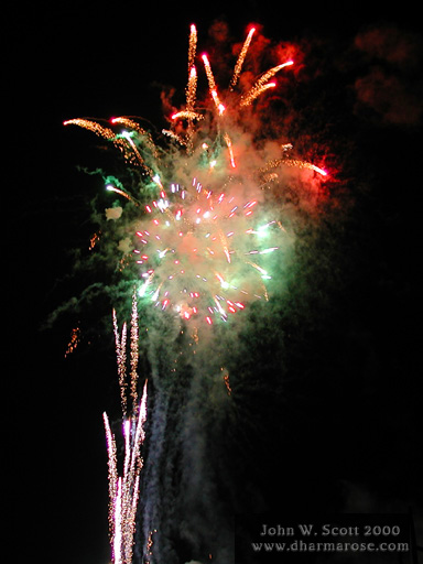 fireworks6473.jpg