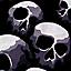 Skulls & Skeletons